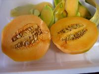 Melon