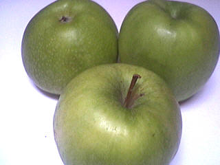Mucilage