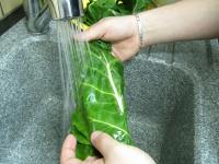 Lavage, laver
