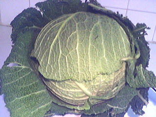 Image : Vitamine B3 ou PP - 