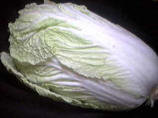 Image : Bok choy ou chou blanc chinois