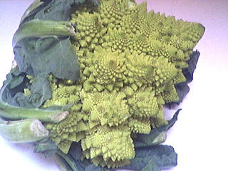 Image : Chou Romanesco - Chou Romanesco