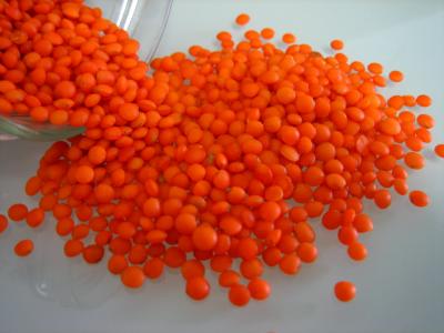 Image : Lentilles - Lentilles rouges