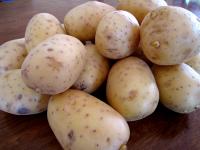 Pommes de terre "Agata"