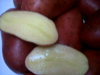 Image : Pommes de terre "Franceline"