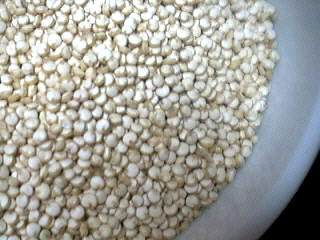 Photo : Quinoa
