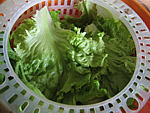 Salade de melon aux graines de tournesol - 4.3