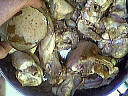 Lapin aux champignons - 7.1