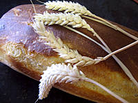 Image : Pain au gluten