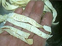 Image : Croûter