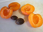 Meringues aux abricots et aux nectarines - 2.1