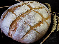 Image : Pain de campagne à pâte fermentée