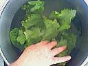 Soupe de laitue à la menthe - 3.1