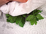 Vinaigrette au Banyuls - 2.2