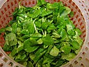 Salade au rocamadour - 5.3