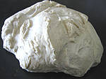 Pain paysan à pâte fermentée - 7.2
