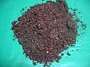 Sapins aux amandes et cacao - 7.1