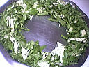 Salade batavia - 5.1