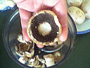 Champignons farcis par Jeanine - 4.2