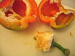 Salade de boulghour et poivrons - 2.1