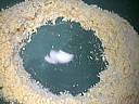 Tarte aux anchois - 4.3