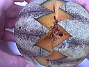Salade de melon aux graines de sésame - 2.2