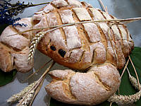 Pain blanc et son crabe