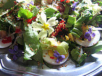 Image : Violettes et primevères en salade