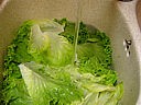 Salade de batavia et riz - 9.2