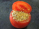 Tomates farcies au tofu - 11.1