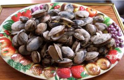 Photo : Clams