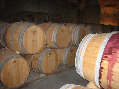 Image : Langage des vins (R.S)