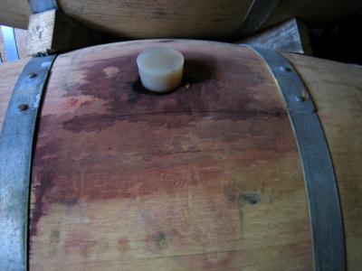 Image : Langage des vins (T.Z)