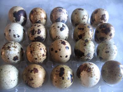 Image : Oeuf - 