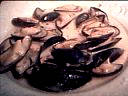 Image : Moules à la crème