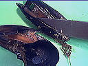 Moules à la crème - 2.1