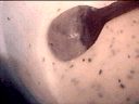 Moules à la crème - 19.1