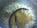 Soupe de melon - 4.1