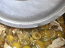 Sauté de dinde aux mirabelles - 8.1