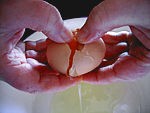 Omelette aux cèpes - 10.1