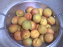 Confiture d'abricots au parfum de noix de coco - 1.3