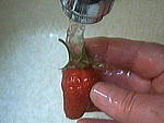 Lait fraises au chocolat et meringue - 1.1