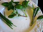 Soupe de légumes aux navets - 4.1