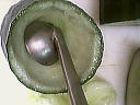 Melon surprise - 1.2