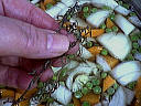 Soupe aux petits pois - 7.2