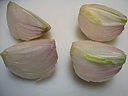 Terrine de campagne au foie gras - 3.3