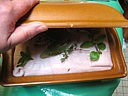 Terrine de campagne au foie gras - 14.2