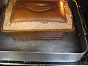 Terrine de campagne au foie gras - 17.2