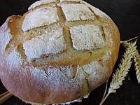 Image : Pain à la farine complète au poolish