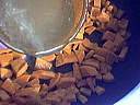 Moules aux carottes - 8.1